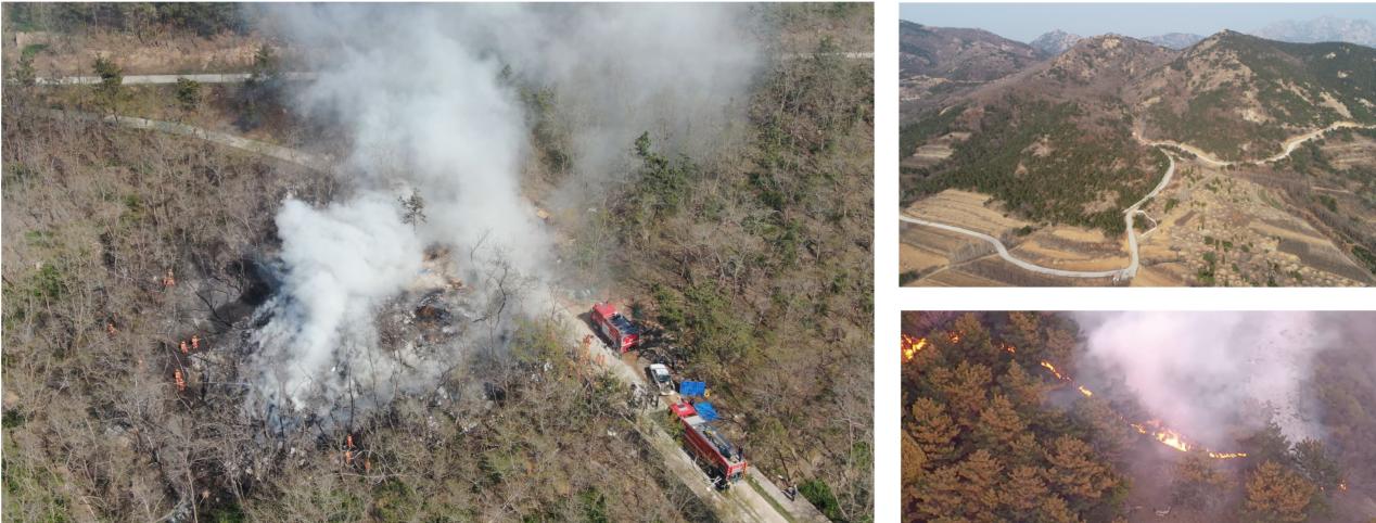 图片2.jpg 图片2.jpg